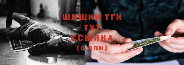 прущие грибы Абдулино