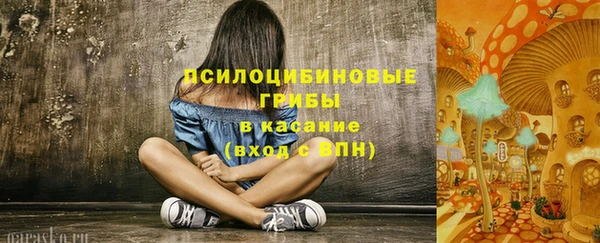 сатива Абинск